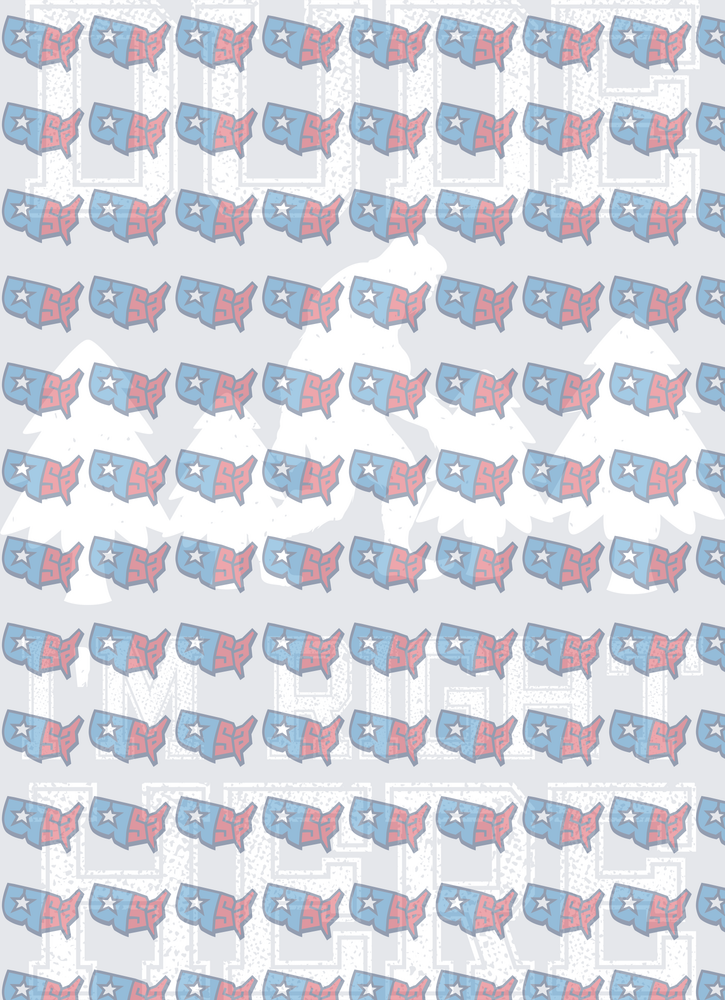 USA Map Pattern Blue Ridge Mountains Varsity Letters (DTF)