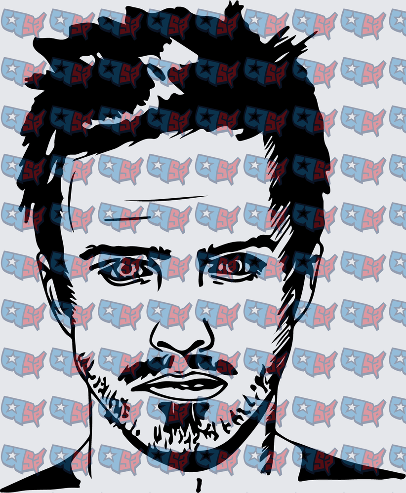 Jesse Pinkman Breaking Bad Pop Art Portrait (DTF)