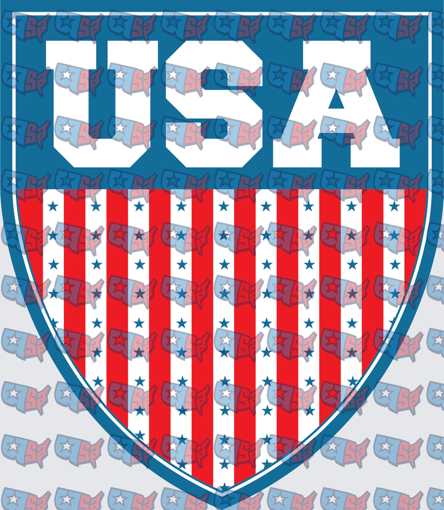 USA Stars and Stripes Shield Badge (DTF)