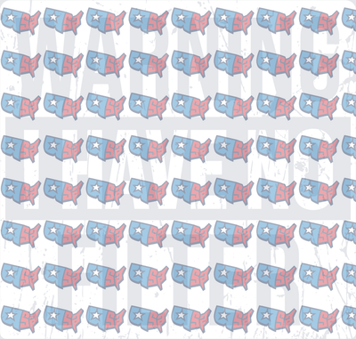 Warning I Have No Help USA Map Pattern (DTF)