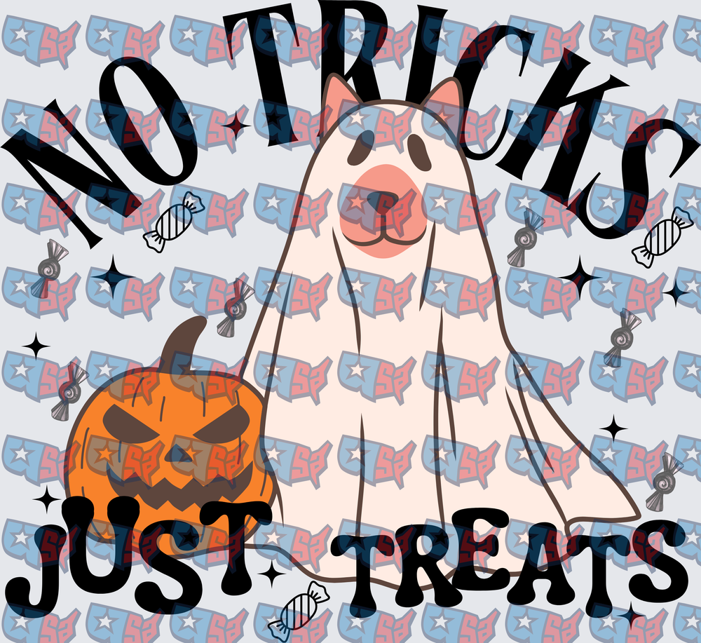 No Tricks Just Treats Ghost Cat Halloween Pumpkin (DTF)