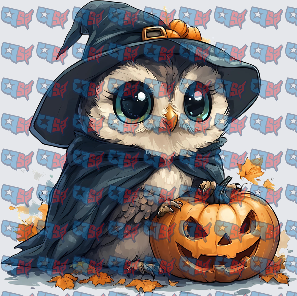 Cute Owl Witch Hat Halloween Jack-O-Lantern (DTF)
