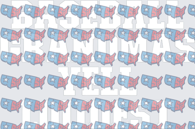 Baseball Grandmas Yell Loudest Patriotic USA Map (DTF)