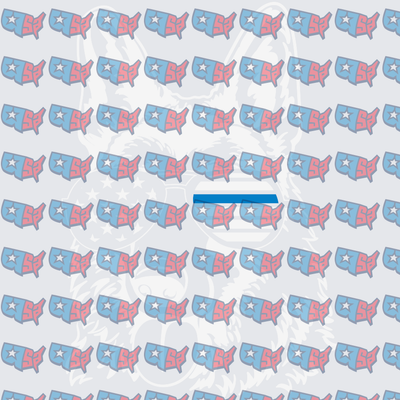 USA Map Star Pattern Patriotic Repeat Design (DTF)