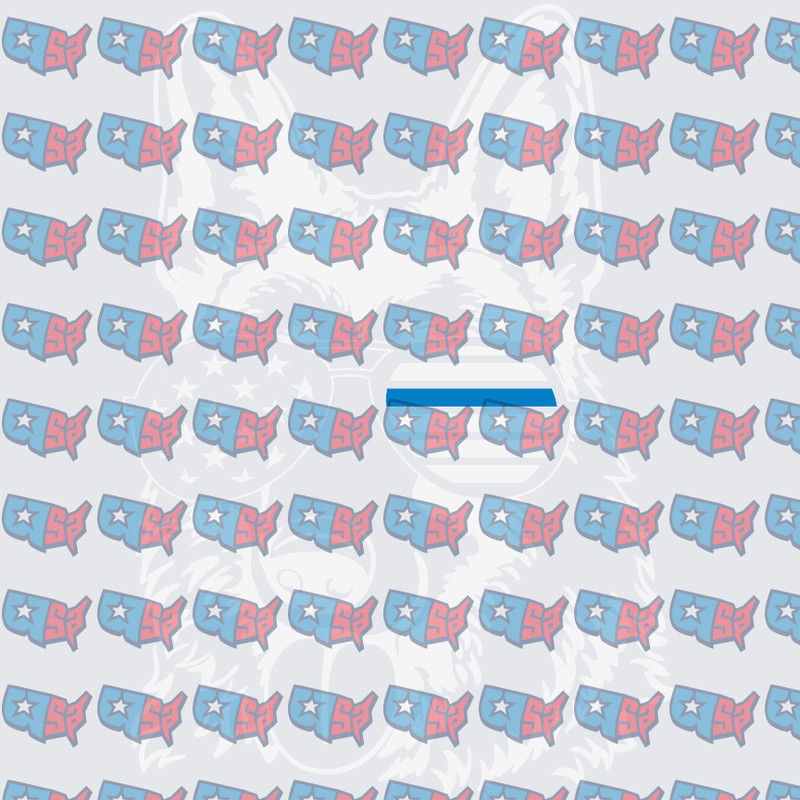 USA Map Star Pattern Patriotic Repeat Design (DTF)