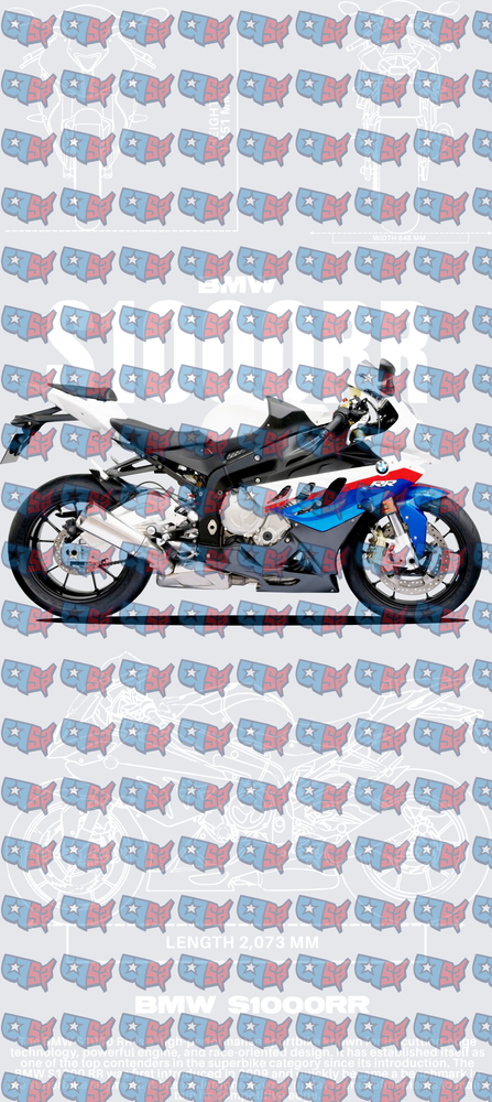 BMW S1000RR Sport Motorcycle Side Profile (DTF)