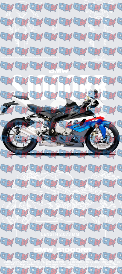 BMW S1000RR Sport Motorcycle Side Profile (DTF)