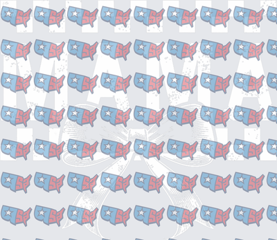 USA Map Star Red White Blue Patriotic Pattern (DTF)