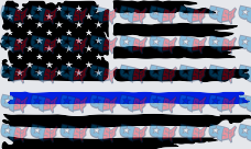 Distressed American Flag Thin Blue Line (DTF)