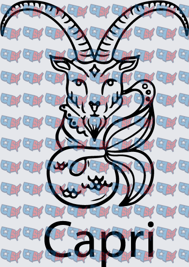 Capricorn Zodiac Sea Goat Astrology Sign (DTF)