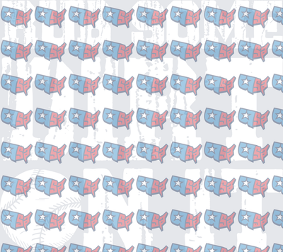 Patriotic USA Map Star Pattern Red White Blue (DTF)