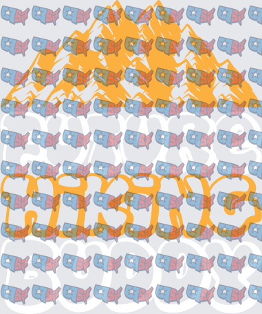 USA Map Pattern with Eagle and Stars (DTF)