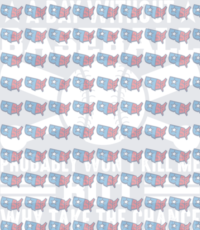 USA Map Pattern Baseball Humor Quote Design (DTF)