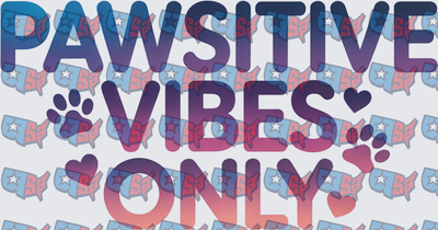 Pawsitive Vibes Only Paw Print Heart Design (DTF)